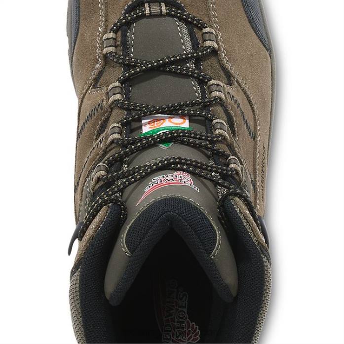 grisRed Wing kit de productos de cuidado básico estilo 97099 kit de cuidado - limpiar, acondicionar, proteger 80P064