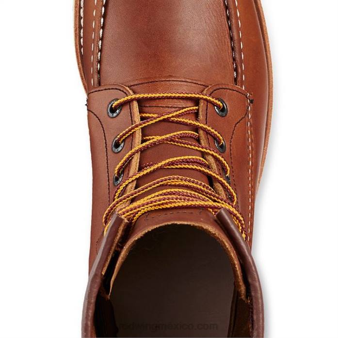 marrónRed Wing estilo 98014 juego de limpieza para desbaste/nubuck producto para el cuidado del cuero - limpiar, acondicionar, proteger 80P037